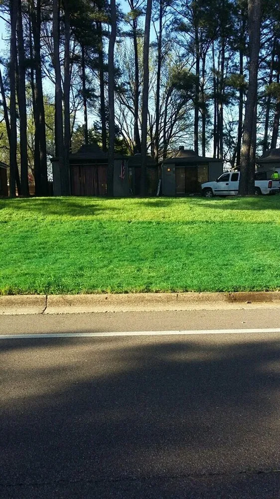 Trusted yard cleanup service in Memphis, TN by Kavion Lawn