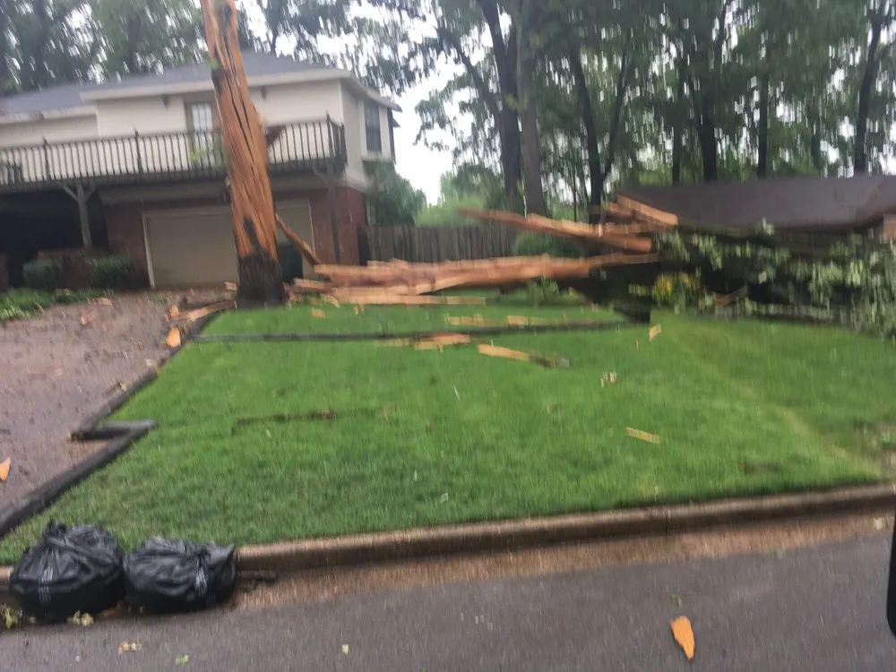 Professional lawn care service experts serving Memphis, TN - Kavion Lawn