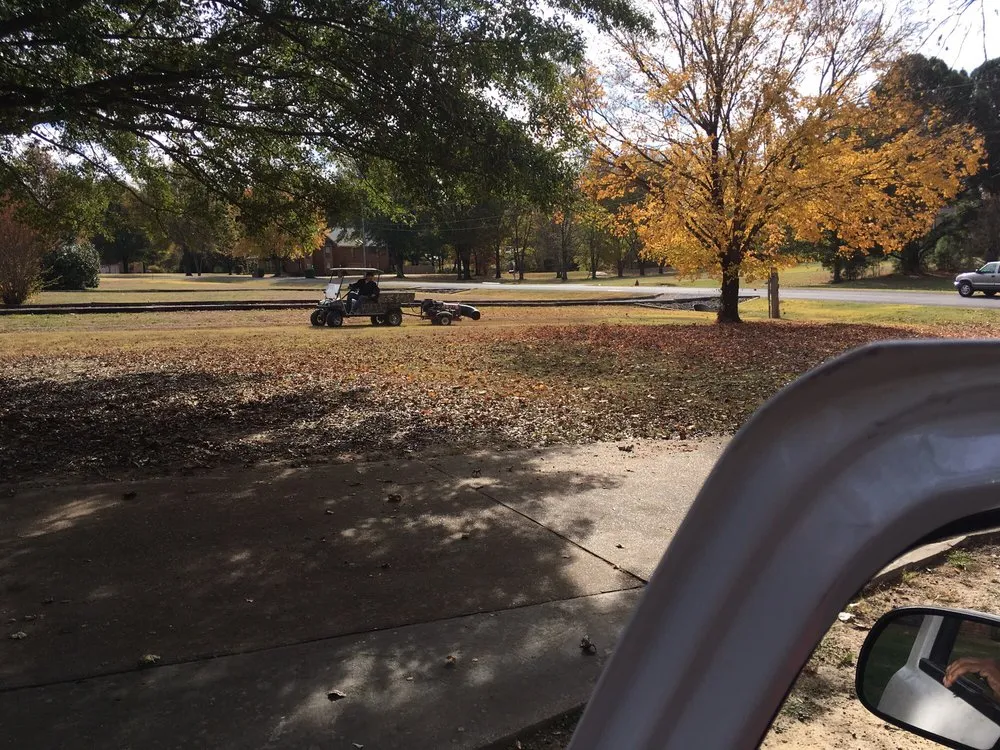 Trusted yard cleanup service experts serving Memphis, TN - Kavion Lawn