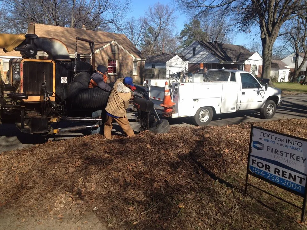 Reliable yard cleanup service for beautiful yards in Memphis, TN by Kavion Lawn