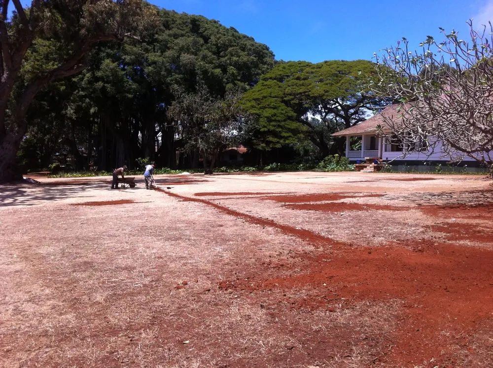 Professional yard maintenance in Kaneohe, HI - Kawahara Gardening Specialists
