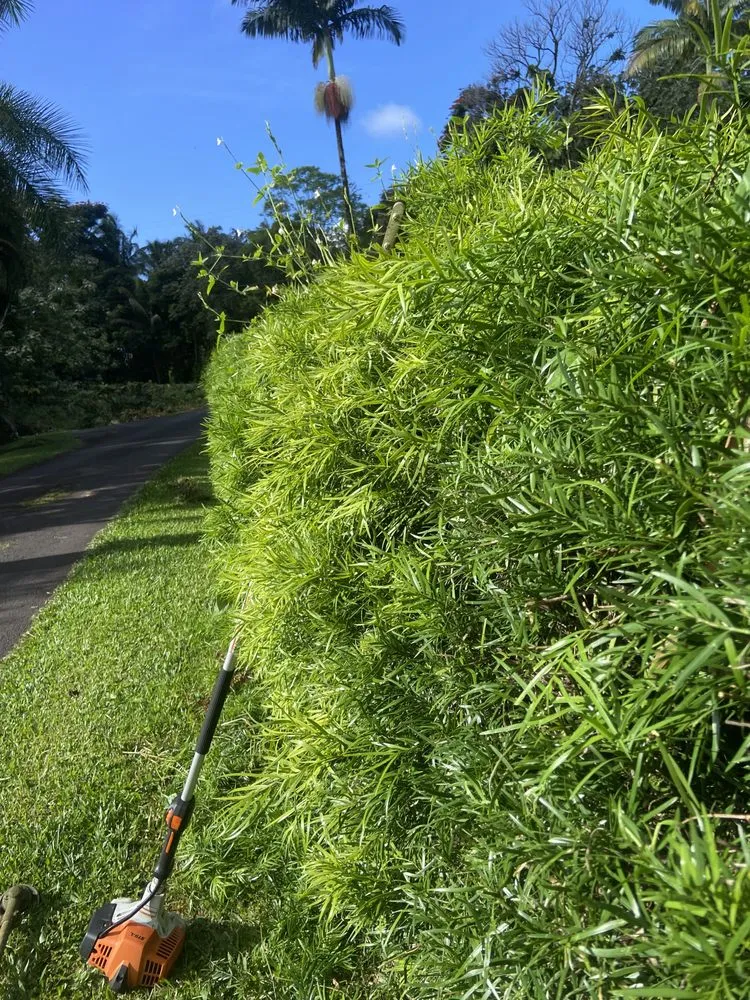 Affordable garden landscaping in Hilo, HI by Kawika’s Yard Maintenance