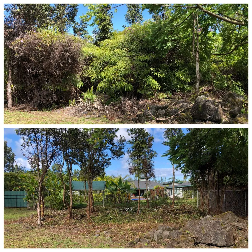 Reliable yard maintenance for outdoor upgrades across Hilo, HI - Kawika’s Yard Maintenance