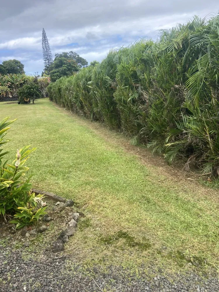 Local landscape design in Hilo, HI - Kawika’s Yard Maintenance