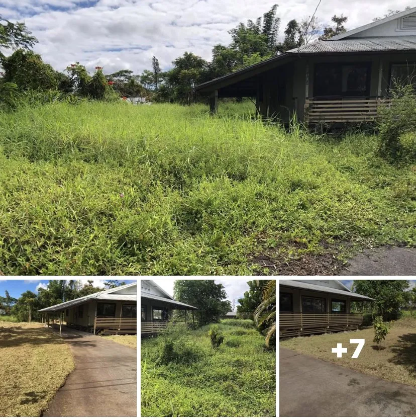Reliable lawn mowing service in Hilo, HI by Kawika’s Yard Maintenance
