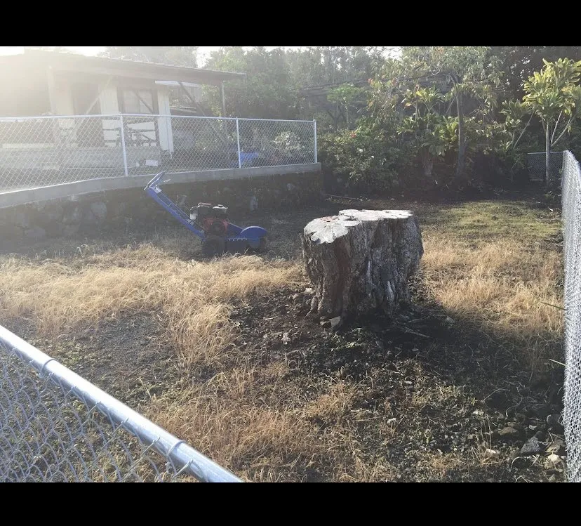 Professional outdoor landscaping in Hilo, HI by Kawika’s Yard Maintenance