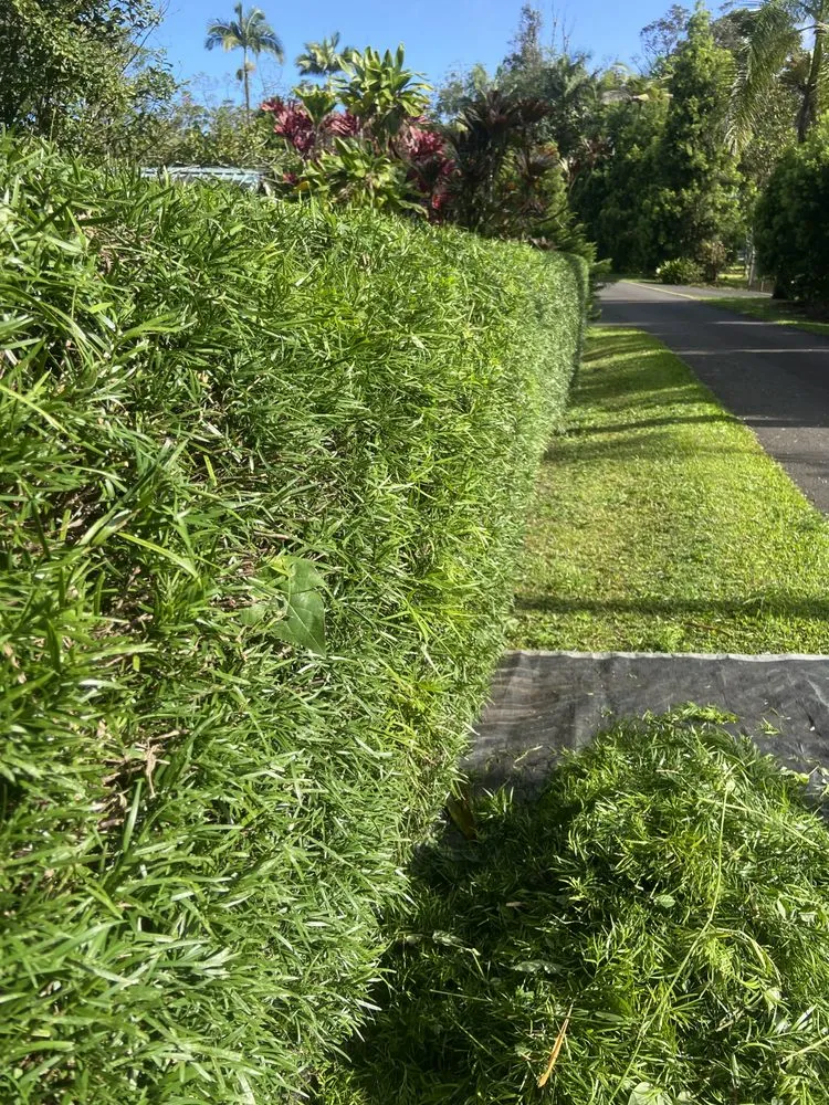 Reliable residential landscaping near you across Hilo, HI - Kawika’s Yard Maintenance