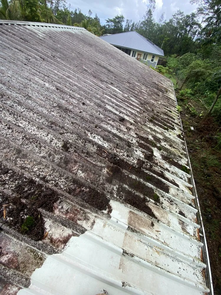 Top-rated landscaping services for outdoor upgrades across Hilo, HI - Kawika’s Yard Maintenance