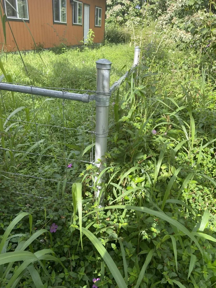 Custom yard cleanup service for year-round maintenance across Hilo, HI - Kawika’s Yard Maintenance