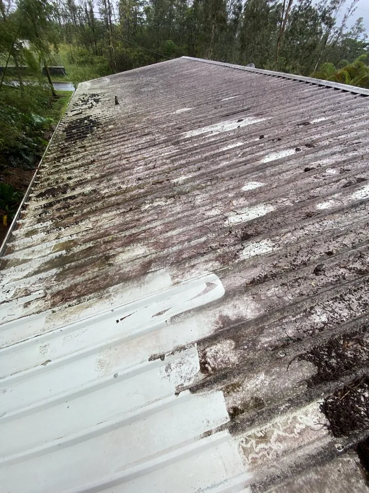 Affordable lawn care service experts serving Hilo, HI - Kawika’s Yard Maintenance