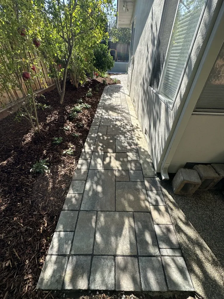 Top-rated landscaping services experts serving San Jose, CA - Kay Green Landscape