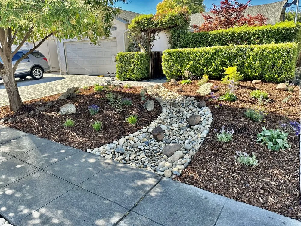 Expert landscape installation for year-round maintenance across San Jose, CA - Kay Green Landscape