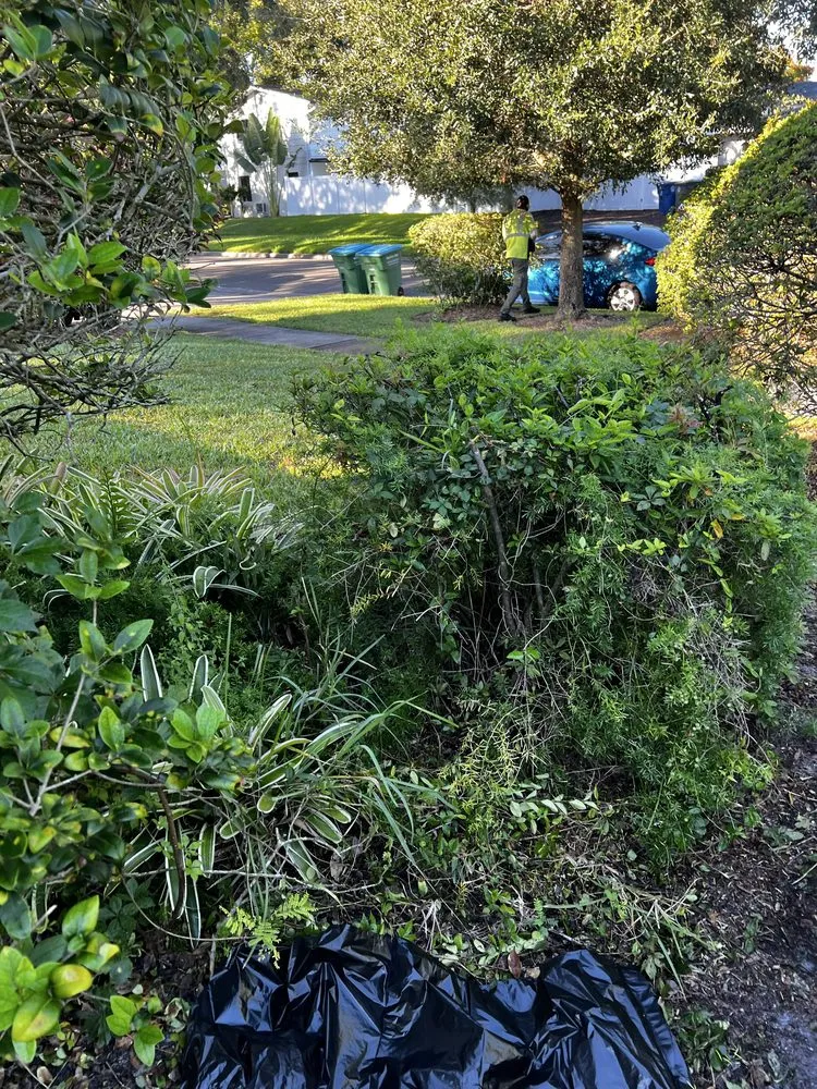 Top-rated lawn care service in Orlando, FL by Kay Kuttz Grass