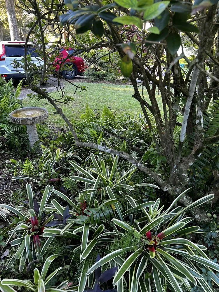 Reliable garden landscaping in Orlando, FL - Kay Kuttz Grass