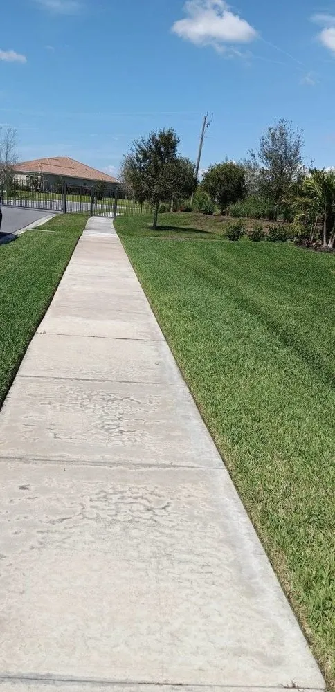 Custom residential landscaping experts serving Orlando, FL - Kay Kuttz Grass