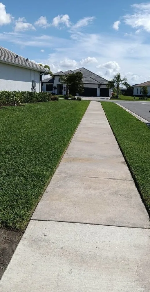 Affordable landscape design for year-round maintenance in Orlando, FL by Kay Kuttz Grass