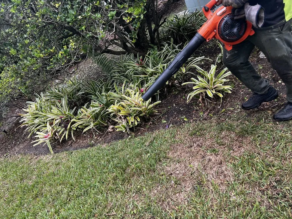 Custom yard cleanup service in Orlando, FL by Kay Kuttz Grass