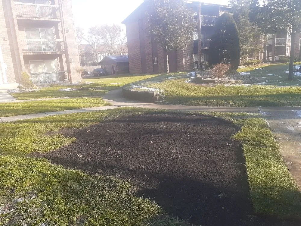 Trusted yard cleanup service experts serving Palos Hills, IL - Kay Lawn Service