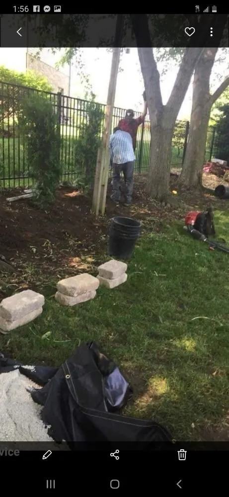 Top-rated landscaping services experts serving Palos Hills, IL - Kay Lawn Service