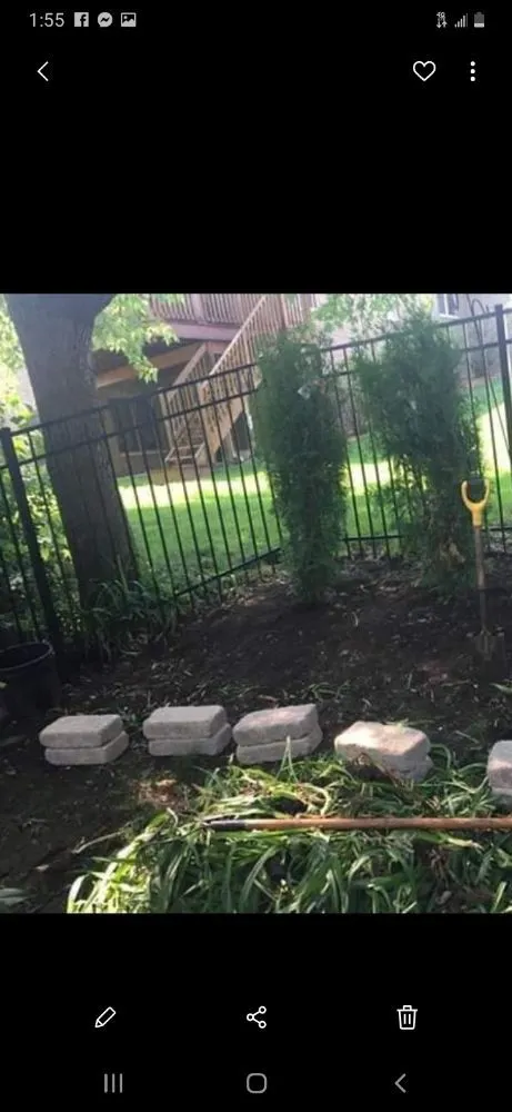 Expert lawn care service in Palos Hills, IL by Kay Lawn Service