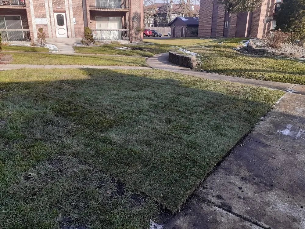 Professional lawn care service for outdoor upgrades in Palos Hills, IL by Kay Lawn Service