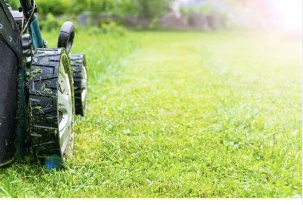 Reliable residential landscaping experts serving Albion, PA - kaydens lawn care service