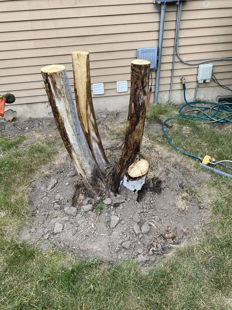 Affordable yard cleanup service in Kaysville, UT - Kaysville Landscaping