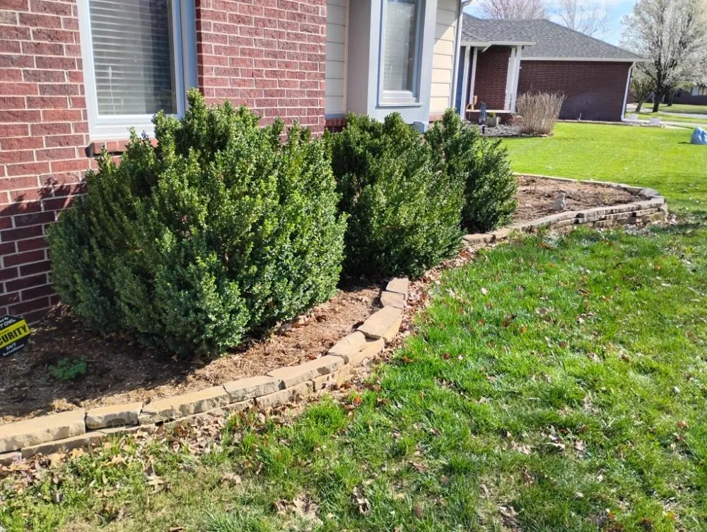 Professional yard cleanup service in Tulsa, OK - Kazper's Lawn and Tree Care