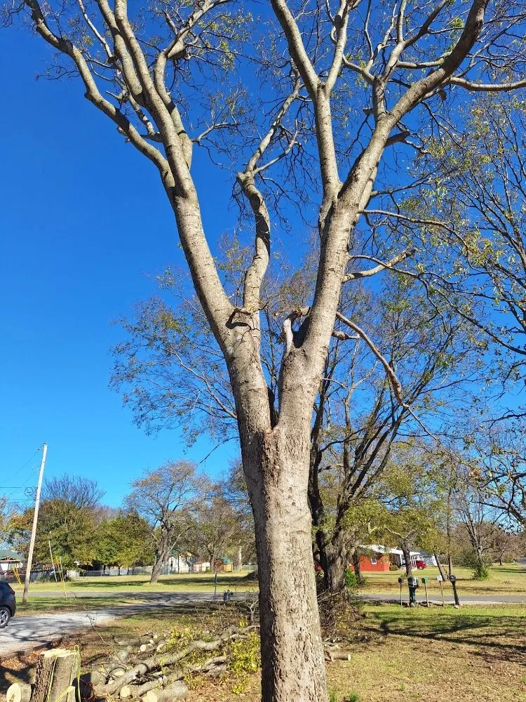 Expert outdoor landscaping experts serving Tulsa, OK - Kazper's Lawn and Tree Care