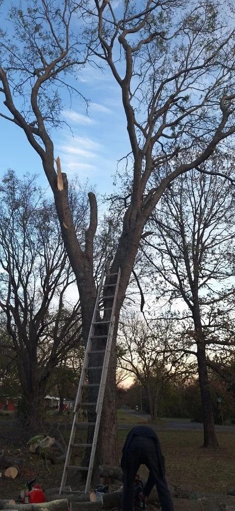 Expert yard maintenance experts serving Tulsa, OK - Kazper's Lawn and Tree Care