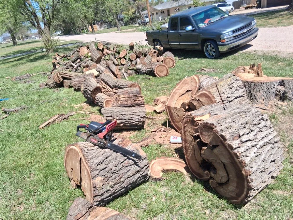 Local yard maintenance in Tulsa, OK by Kazper's Lawn and Tree Care