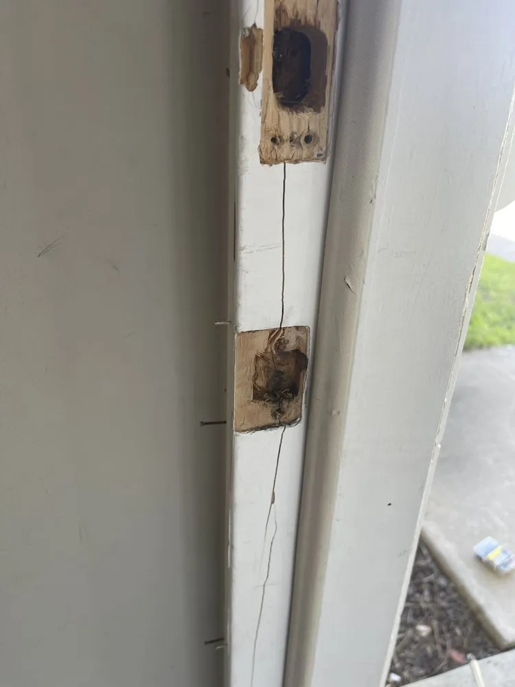 Professional landscape design experts serving Santee, CA - KB Cleantime