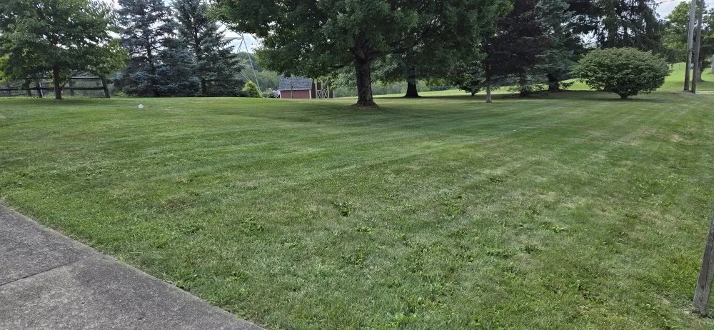Affordable outdoor landscaping for residential properties across Leechburg, PA - KB Cuts Grass