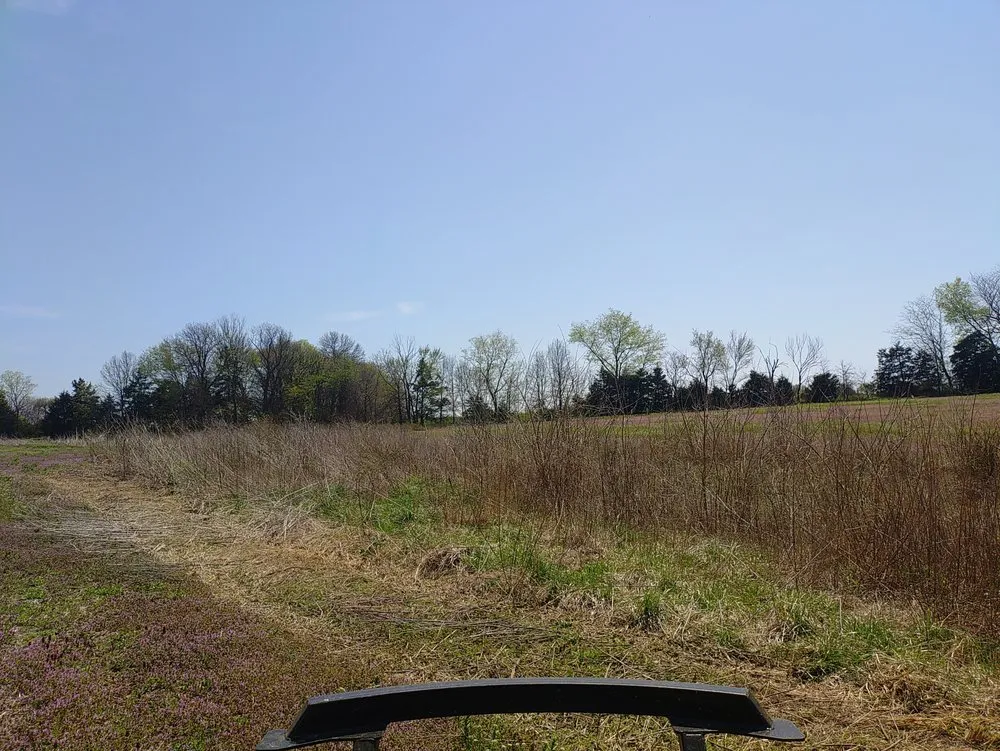 Trusted landscape design in Tipton, MO - KB Land Management