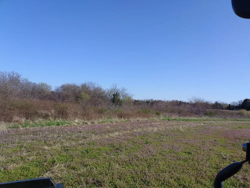 Professional landscaping services experts serving Tipton, MO - KB Land Management