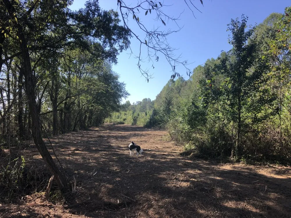 Trusted landscape installation in Woodbury, TN - K&B Land Management