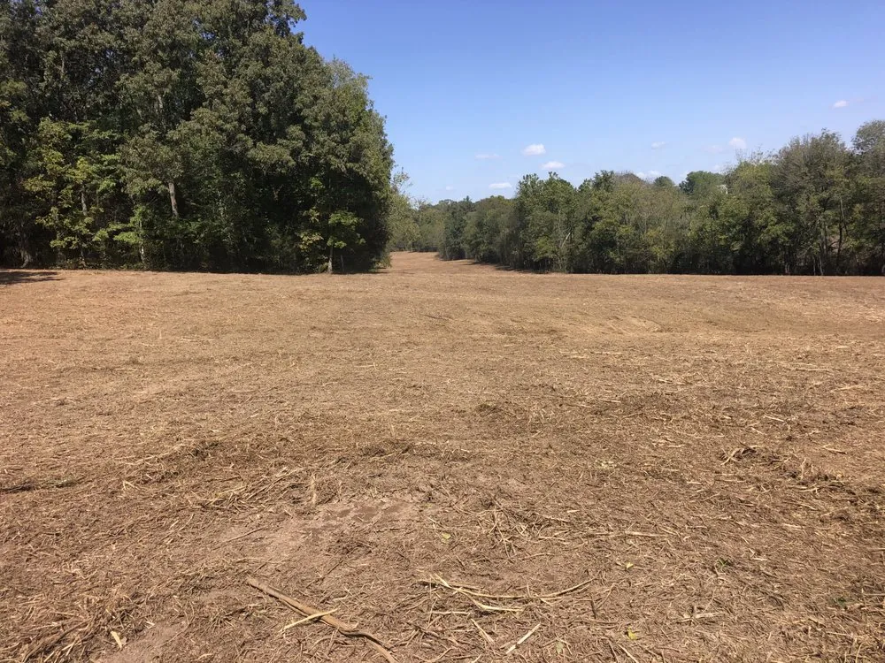 Expert lawn mowing service in Woodbury, TN - K&B Land Management