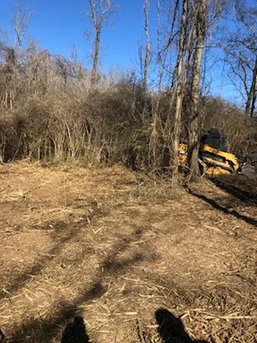 Reliable landscaping services in Woodbury, TN by K&B Land Management