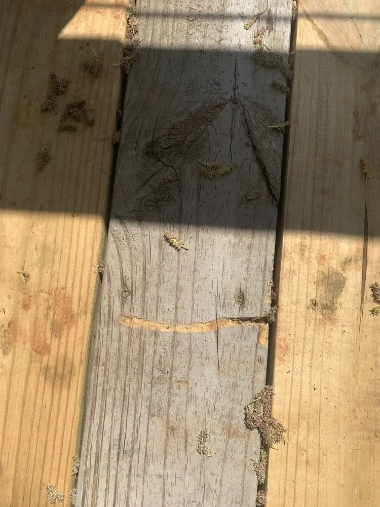 Professional yard cleanup service with custom design in Yukon, OK by KB Landscape & Tree Service