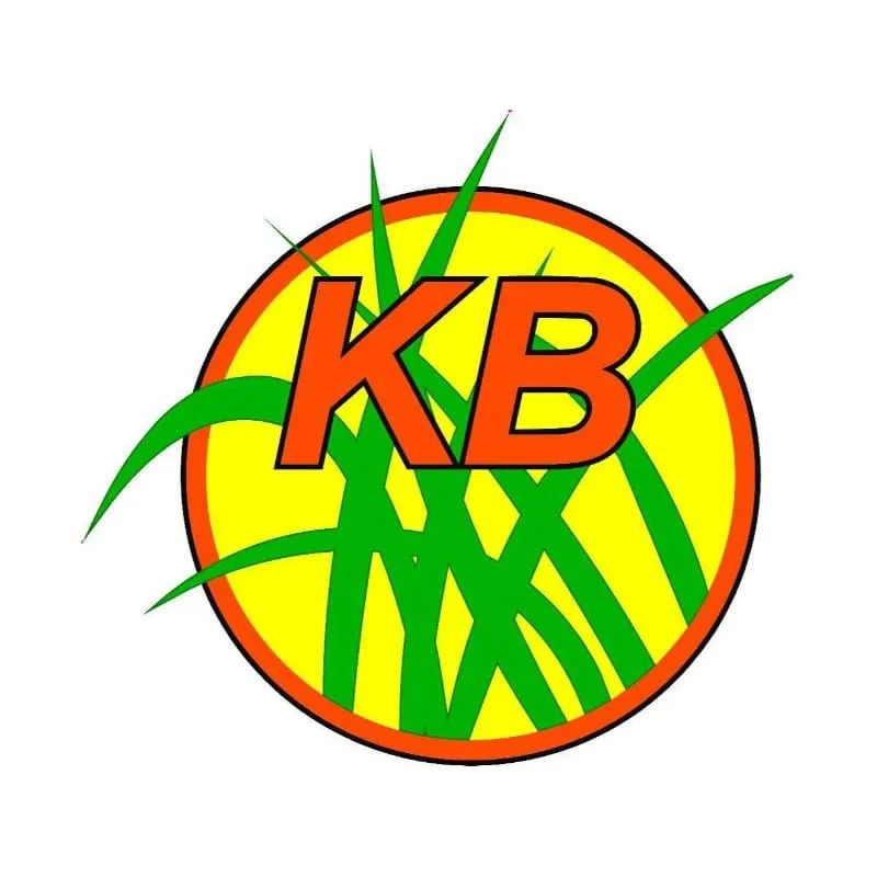 Professional landscape design near you across Wilmington, NC - KB Landscape and Design
