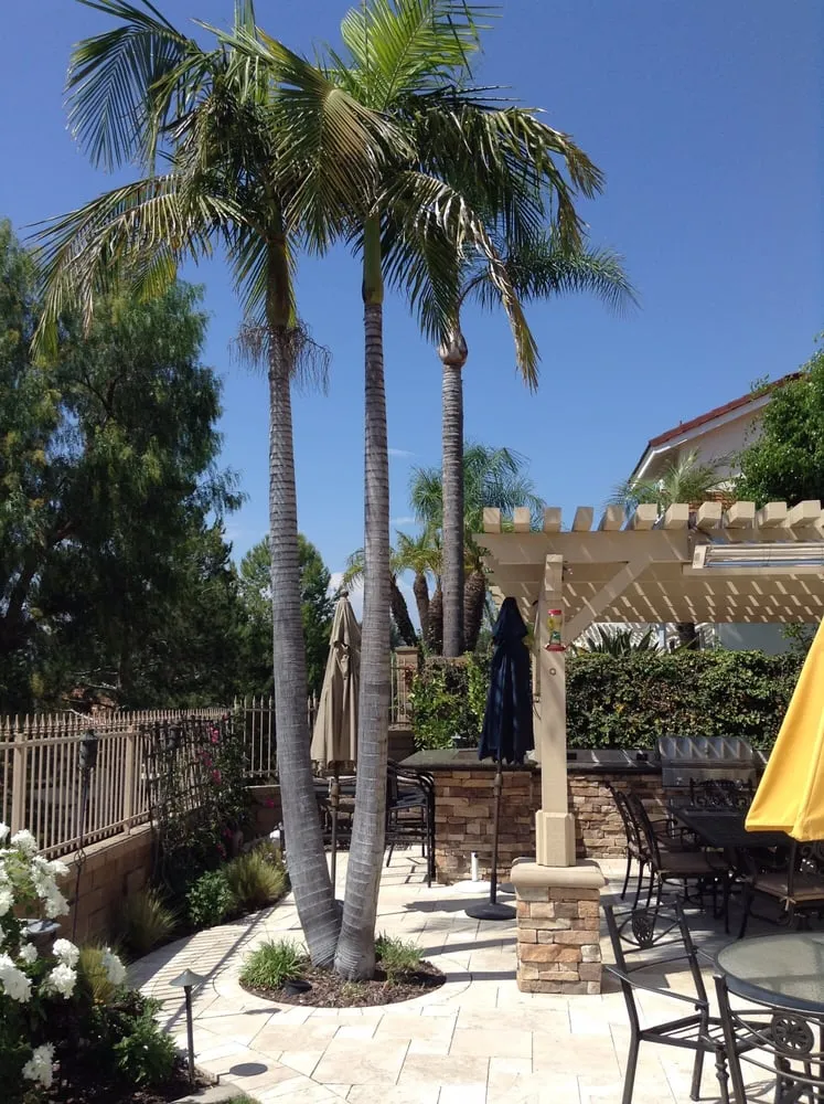 Custom lawn mowing service experts serving Mission Viejo, CA - KB Landscape