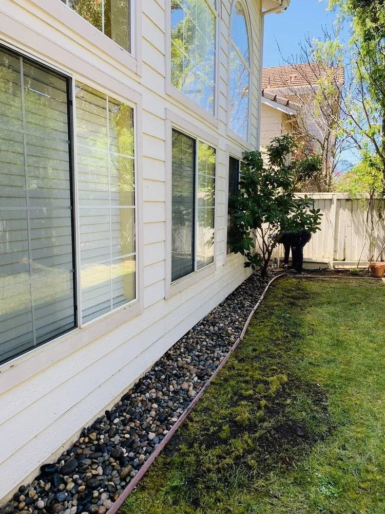 Local yard cleanup service in San Mateo, CA by KB Landscape