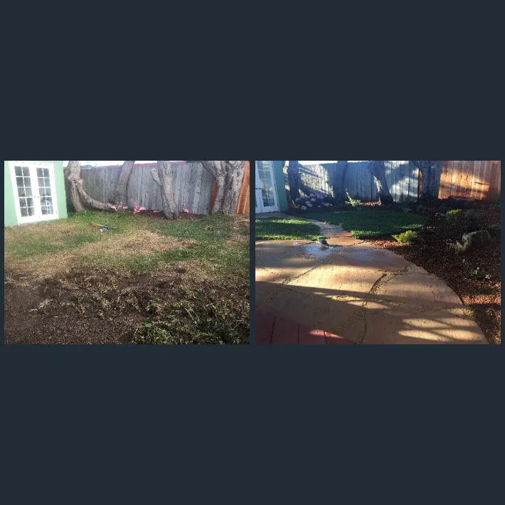 Affordable garden landscaping in San Mateo, CA by KB Landscape