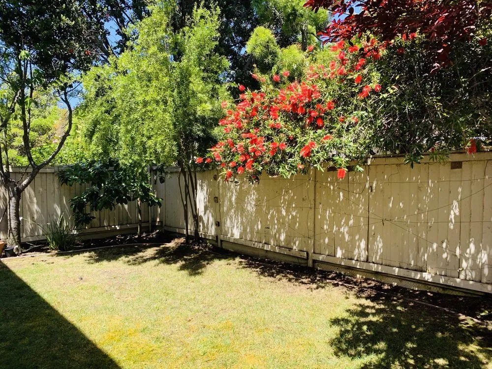 Affordable landscape design experts serving San Mateo, CA - KB Landscape