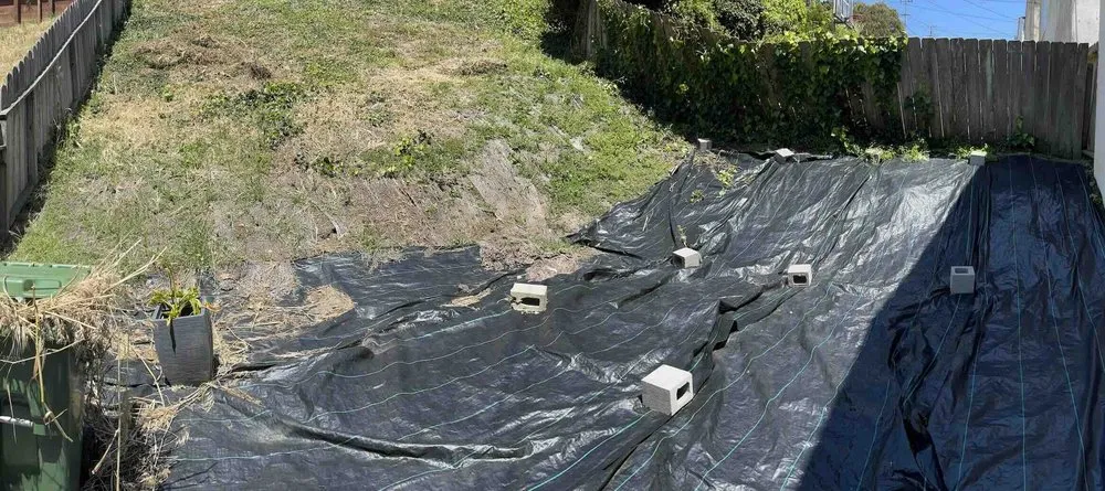 Reliable yard cleanup service in San Mateo, CA - KB Landscape