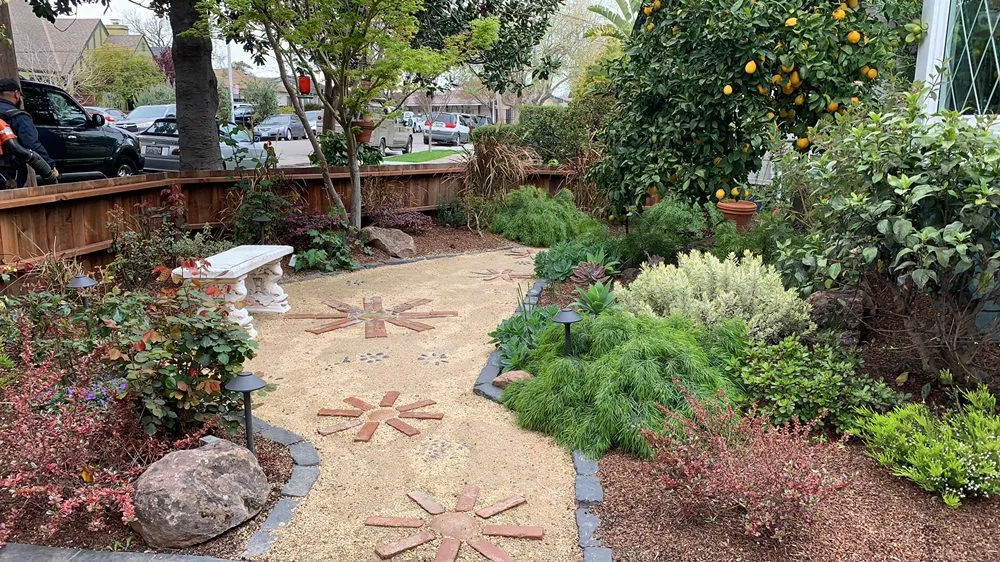 Custom yard maintenance experts serving San Mateo, CA - KB Landscape
