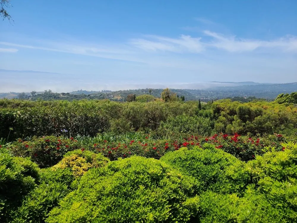 Local landscaping services in Goleta, CA - KB Landscapes