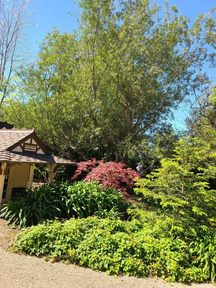 Expert landscaping services in Goleta, CA - KB Landscapes