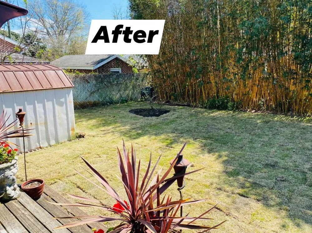 Trusted landscaping services for homes across Jacksonville, FL - K&B Lawn and Landscaping