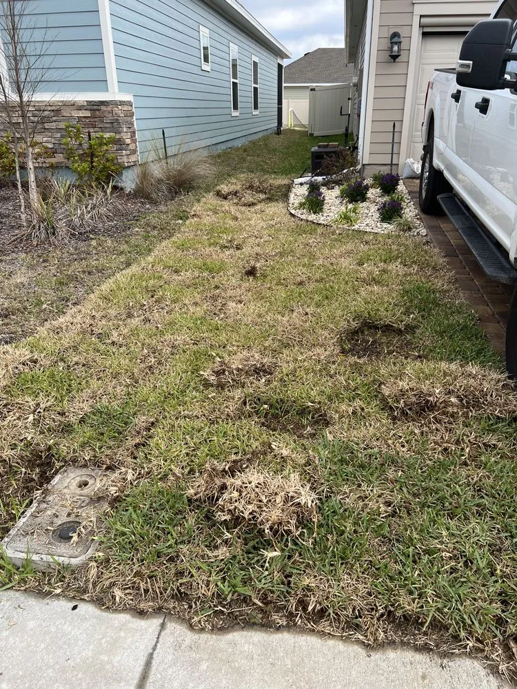 Affordable landscape design in Jacksonville, FL by K&B Lawn and Landscaping